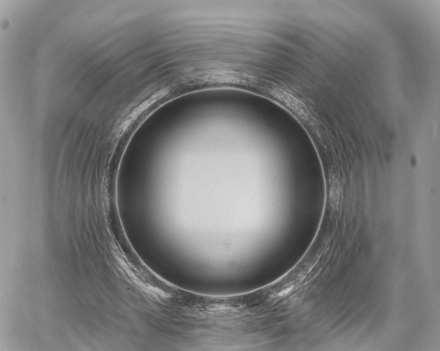 X0000060760390200511141237