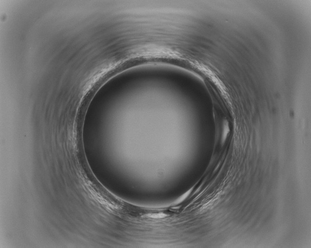 X0000060760391200511141237