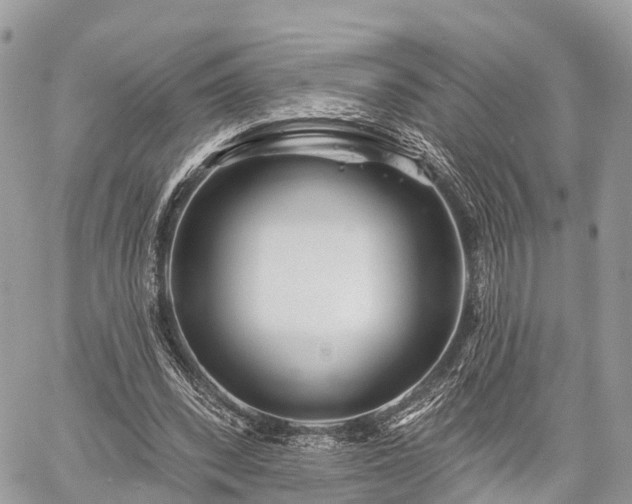 X0000060760392200511141237