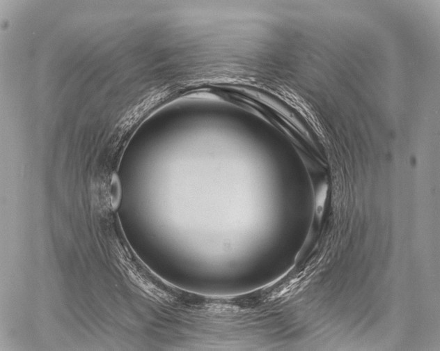 X0000060760393200511141237