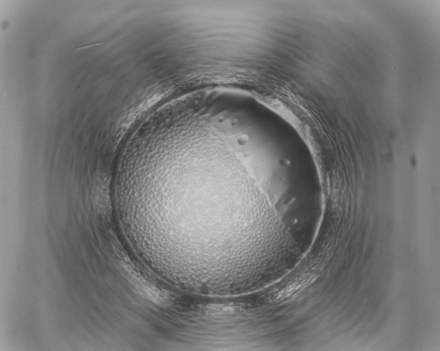 X0000060760394200511141236