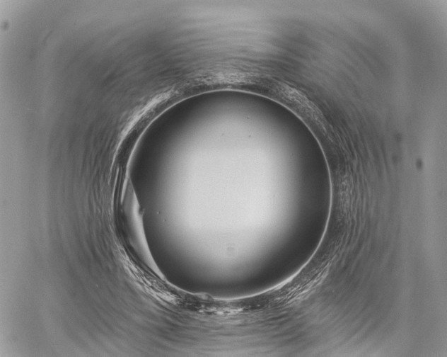 X0000060760395200511141236