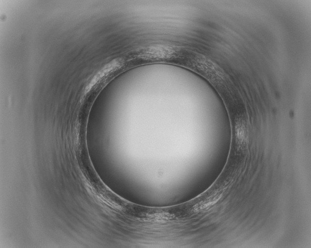 X0000060760396200511141236