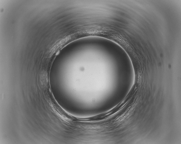 X0000060760397200511141236