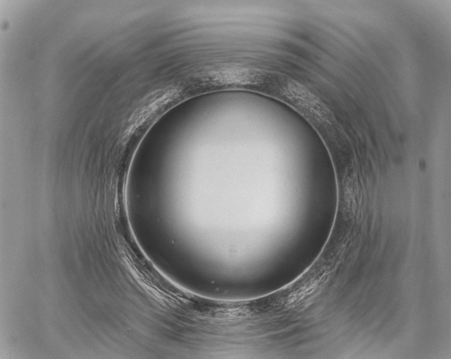 X0000060760398200511141236