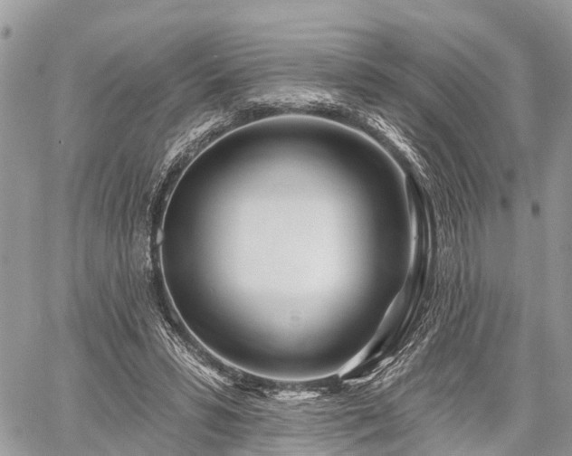 X0000060760399200511141236