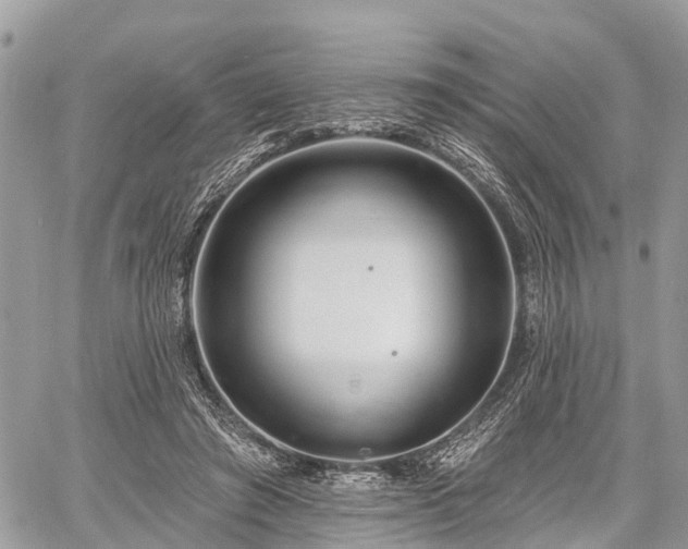 X0000060760401200511141236