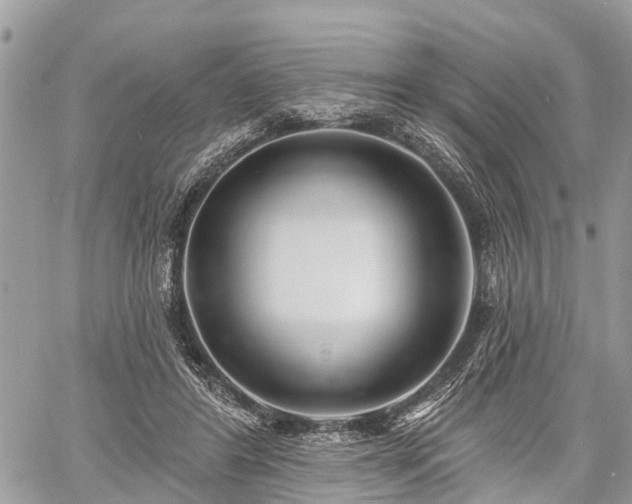 X0000060760404200511141236