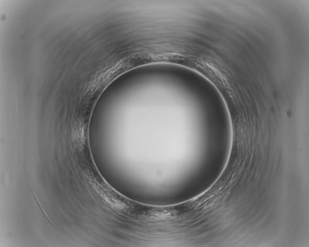 X0000060760405200511141236