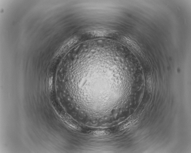 X0000060760406200511141236