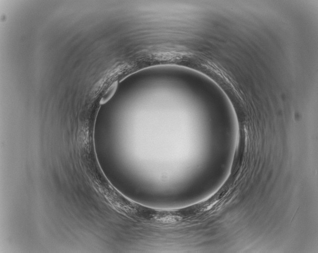 X0000060760407200511141236