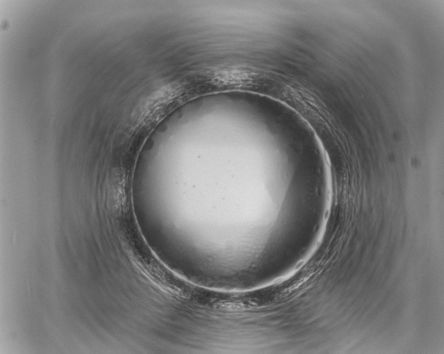 X0000060760408200511141236