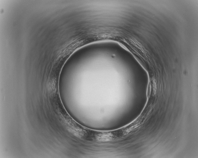 X0000060760410200511141236