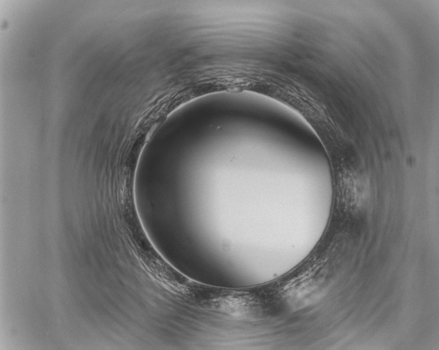 X0000060760412200511141236