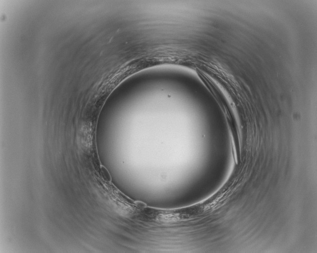 X0000060760413200511141236