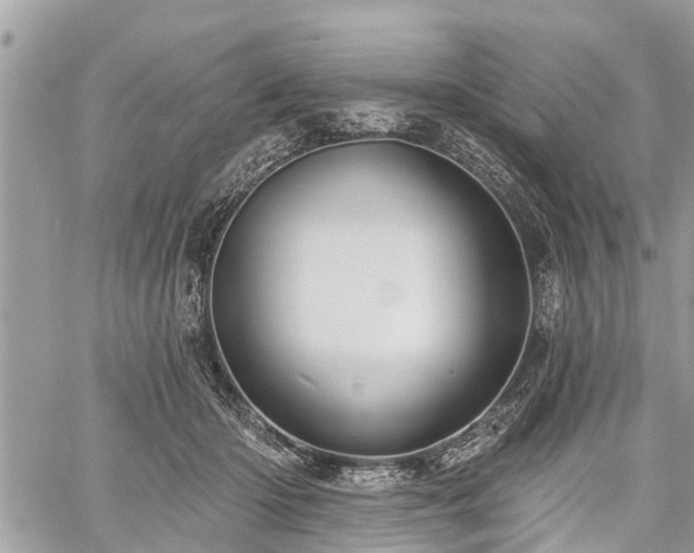 X0000060760414200511141236