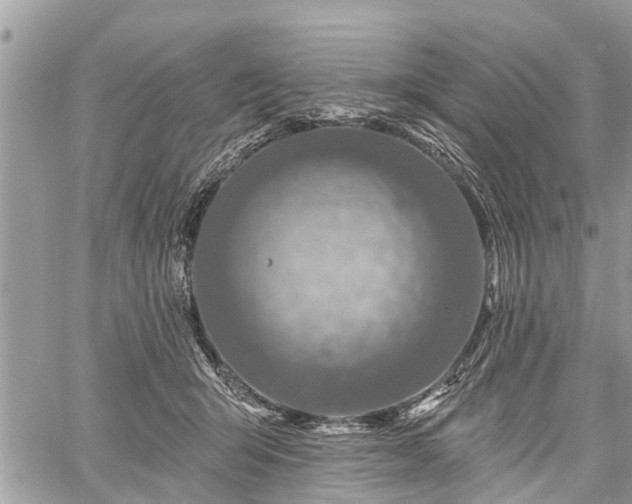 X0000060760415200511141236