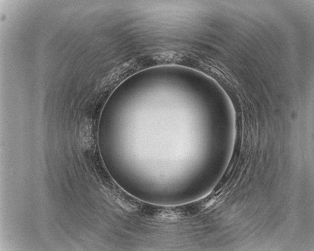 X0000060760416200511141236