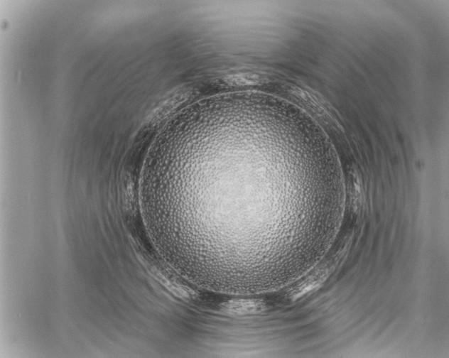 X0000060760418200511141236