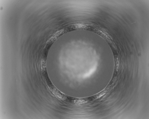 X0000060760419200511141236