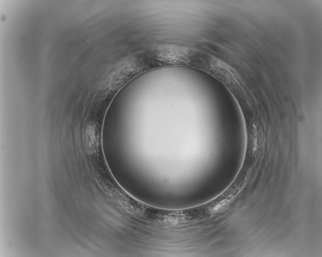 X0000060760420200511141236