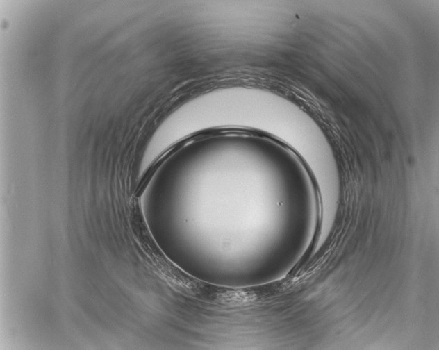 X0000060760421200511141236