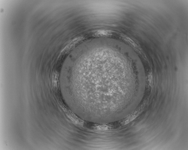 X0000060760423200511141236