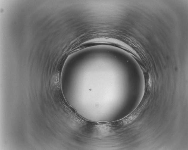 X0000060760425200511141236