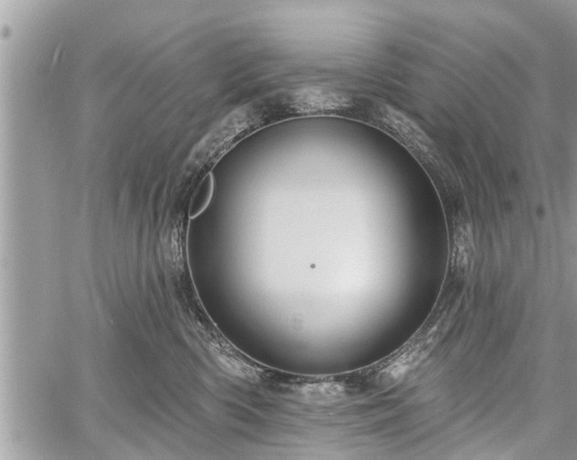 X0000060760426200511141236