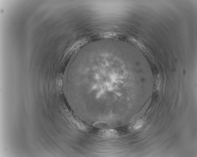 X0000060760427200511141236