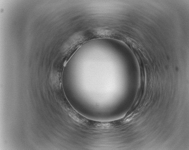 X0000060760428200511141236