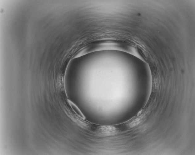 X0000060760429200511141236