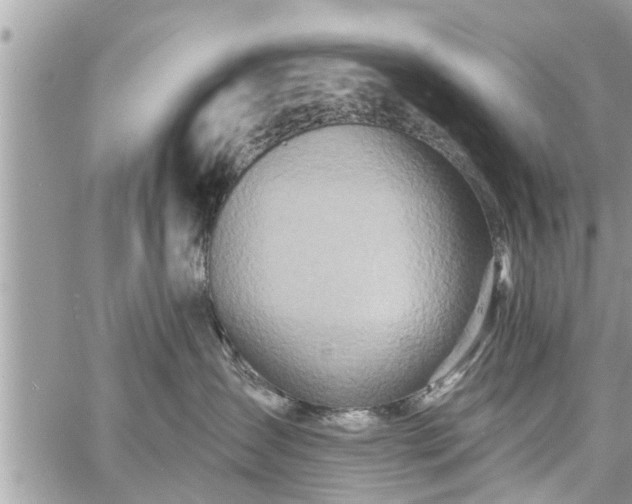 X0000060760431200511141236