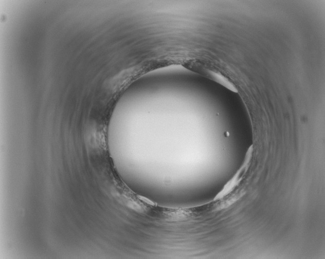 X0000060760432200511141236