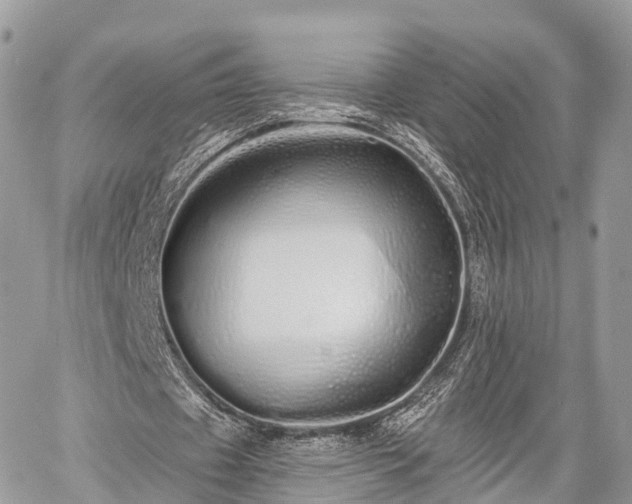 X0000060760433200511141235