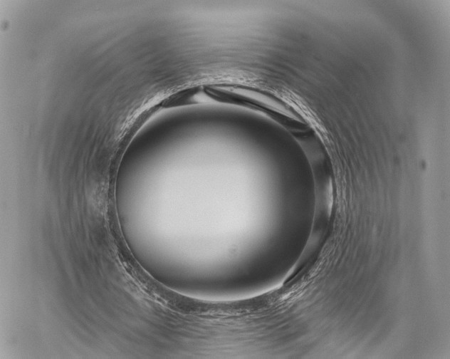 X0000060760434200511141235