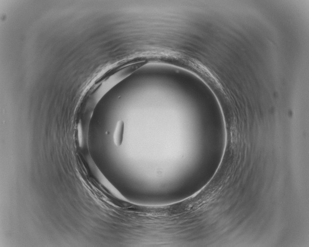 X0000060760436200511141235