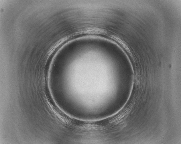 X0000060760437200511141235