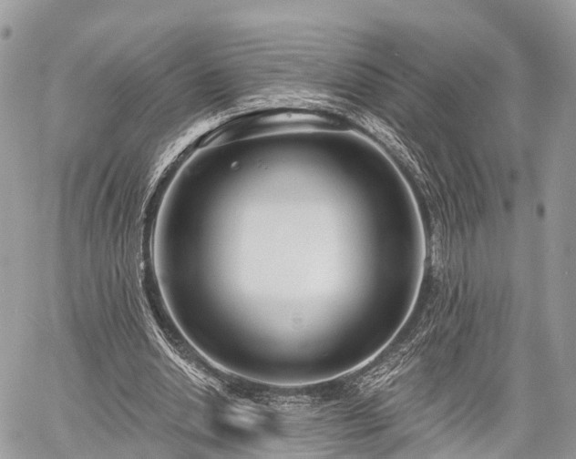 X0000060760438200511141235