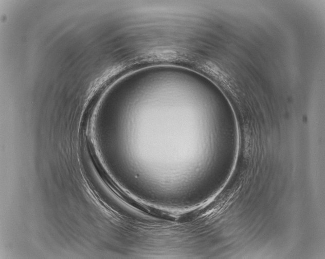 X0000060760439200511141235