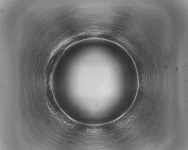 X0000060760440200511141235