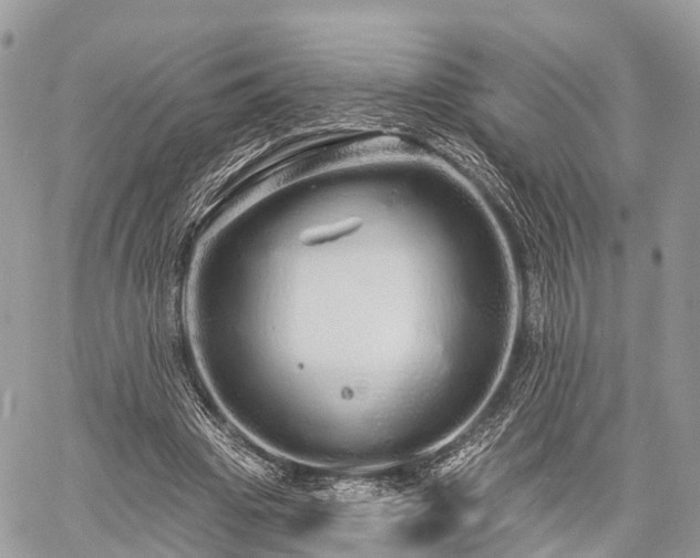 X0000060760441200511141235