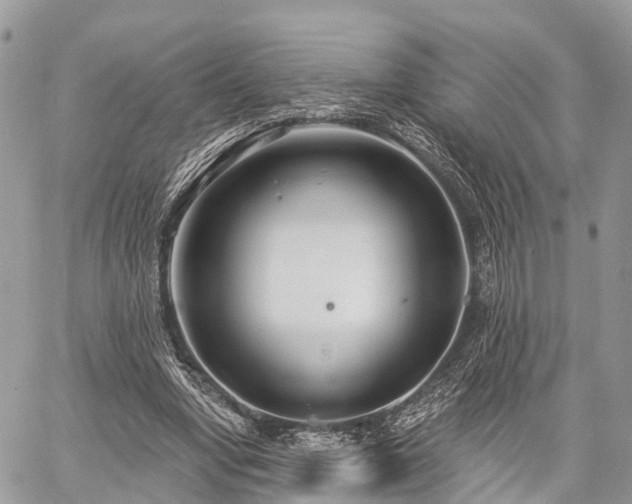 X0000060760442200511141235