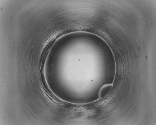 X0000060760443200511141235