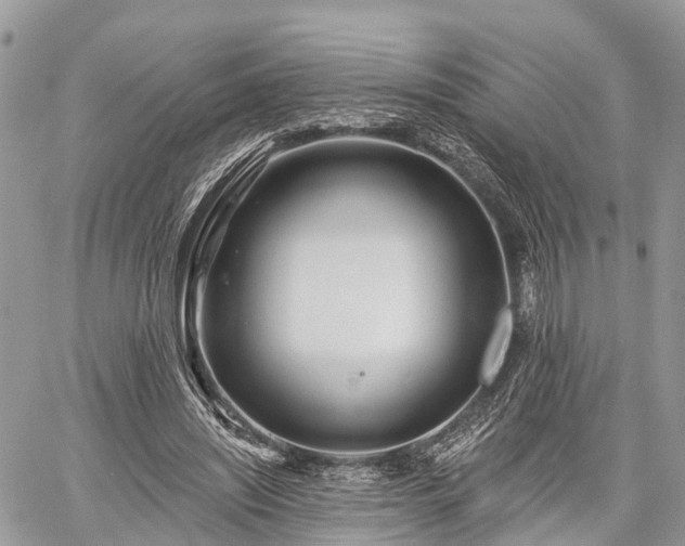 X0000060760444200511141235