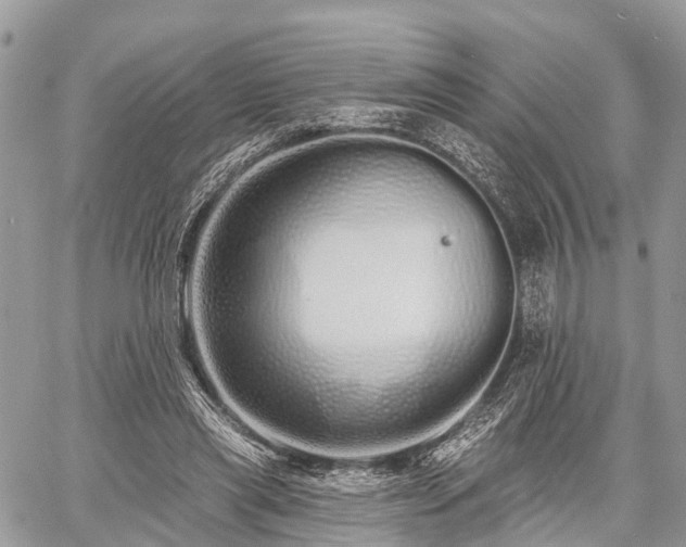 X0000060760445200511141235