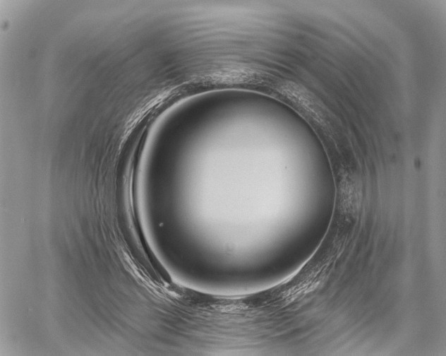 X0000060760446200511141235