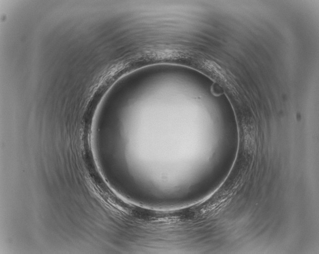 X0000060760447200511141235