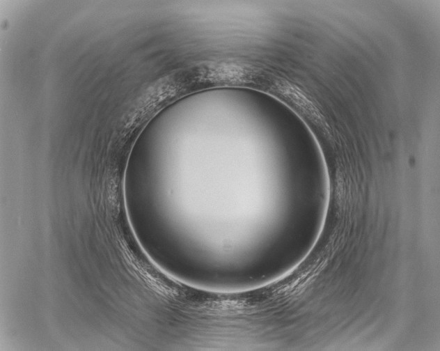 X0000060760449200511141235