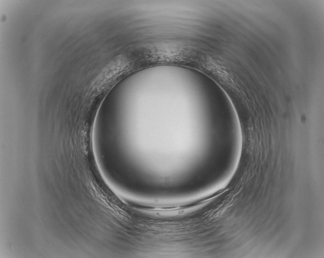 X0000060760450200511141235